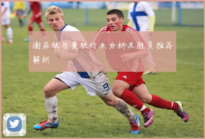 谢菲联与曼联对决分析及胜负推荐解析