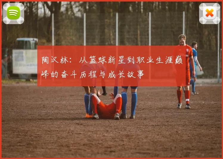 陶汉林：从篮球新星到职业生涯巅峰的奋斗历程与成长故事