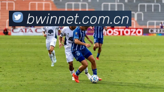 必赢平台生态图